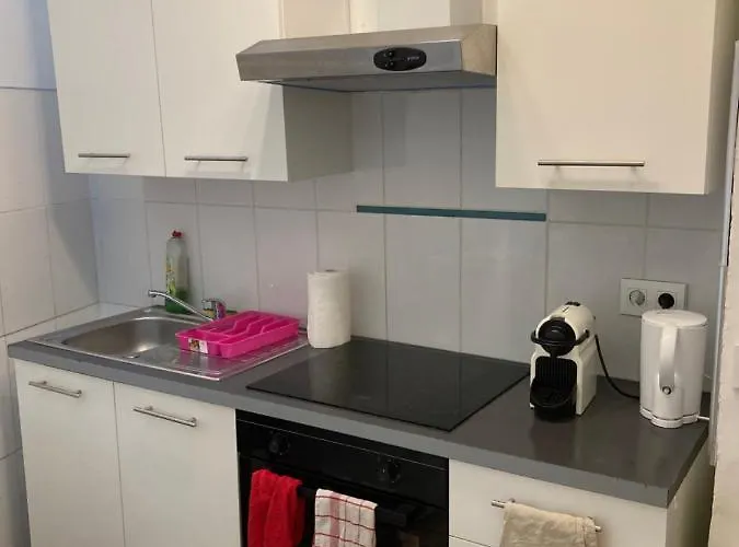 Maison Au Coeur De La Ville. Apartamento *